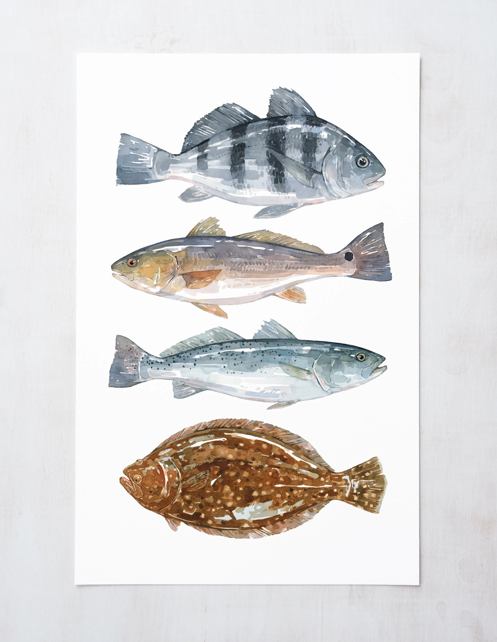 Inshore Saltwater Fish Watercolor Art Print: Coastal Nautical Decor