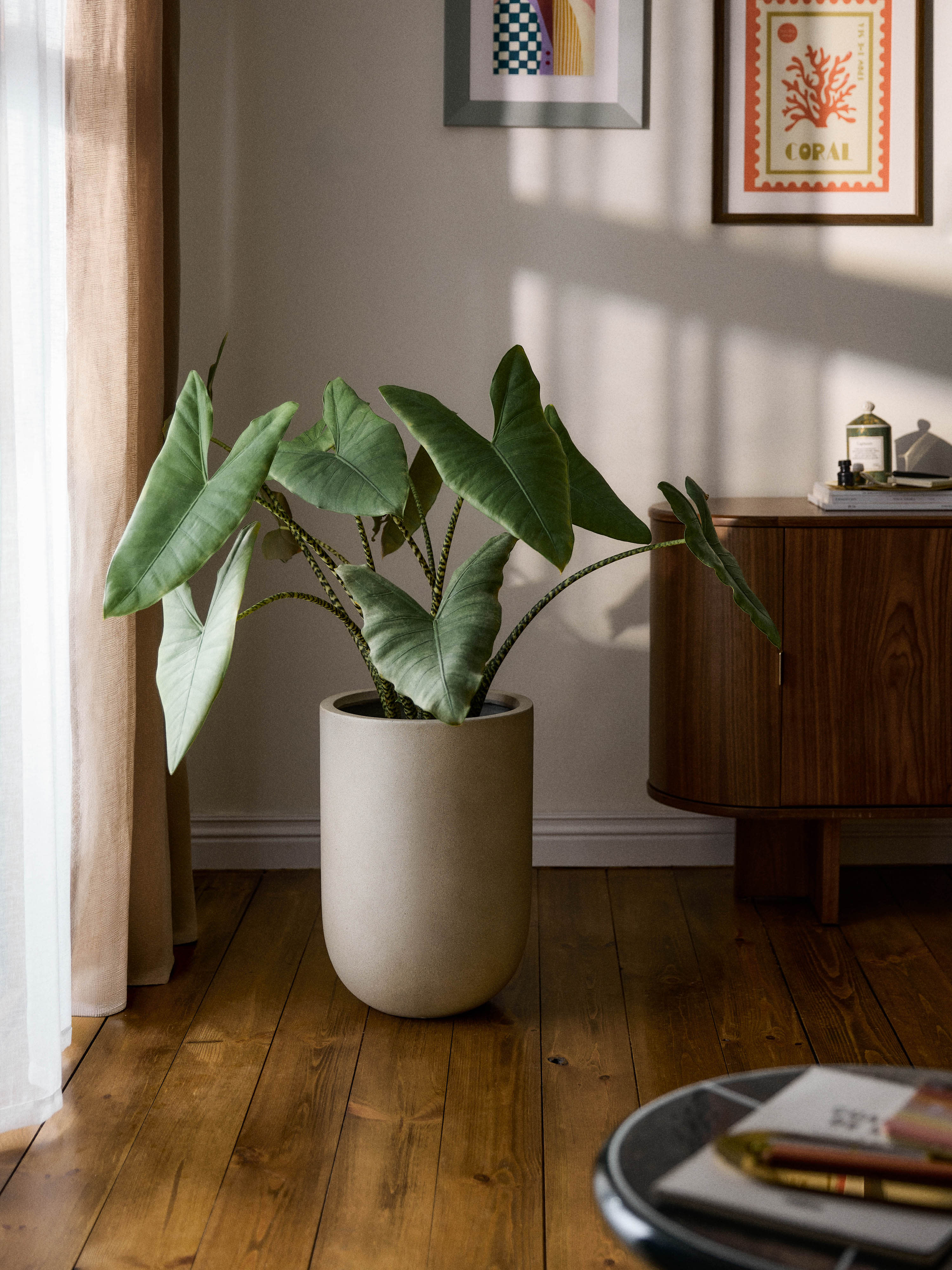 Blumentopf Tuscany aus Beton, H 49 cm