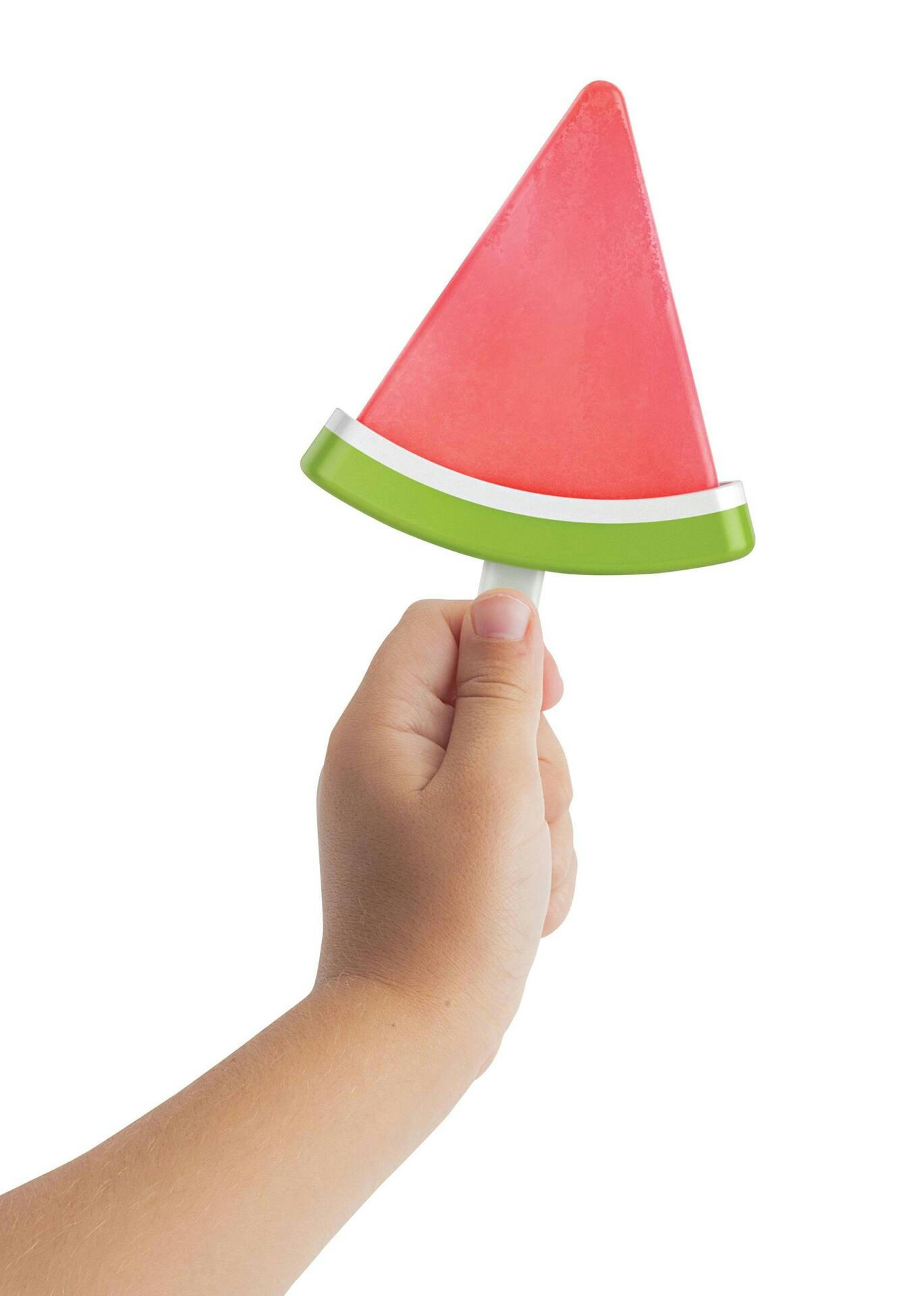Joie Watermelon Freeze Pop Mold