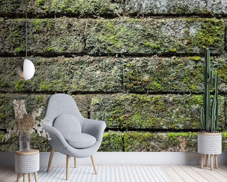 Feeby Fototapeta, Mur cegła mech 150x105