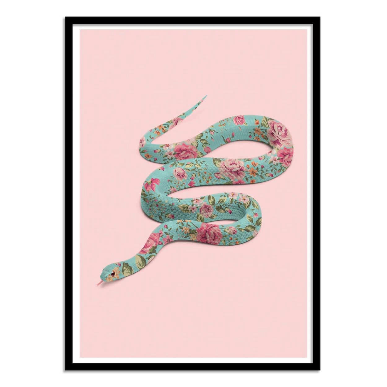 PAUL FUENTES - FLORAL SNAKE - Affiche d'art avec Cadre bois noir - 50 x 70 cm