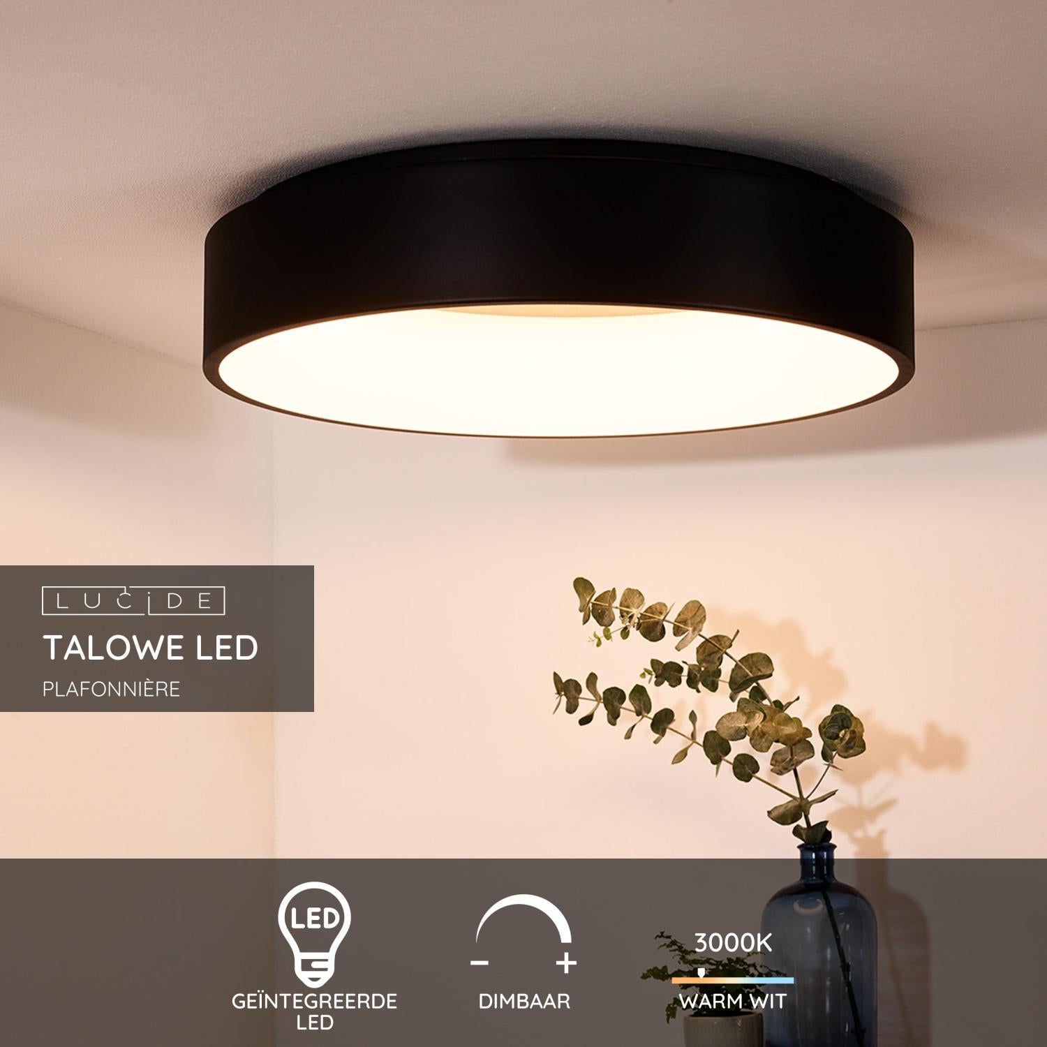 Talowe plafondlamp Ø60 LED zwart