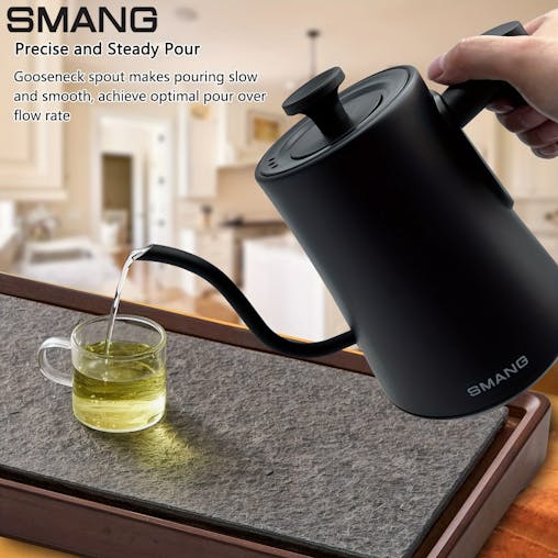 NNETM Electric Kettle Gooseneck Adjustable Temp (1200W)