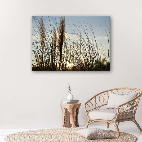 Feeby Obraz na płótnie Trzcina w słońcu 60x40