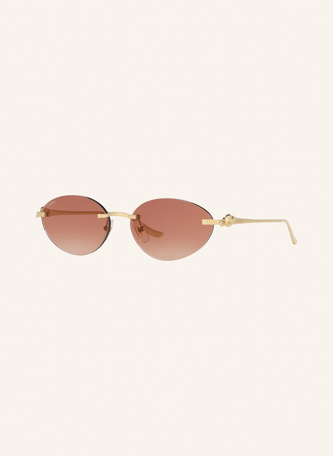 Cartier Sonnenbrille 6L001767