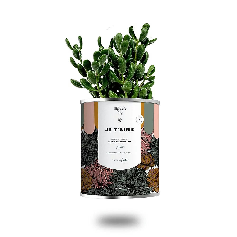 JE T'AIME - Cactus ou plante pot grand modèle je t'aime