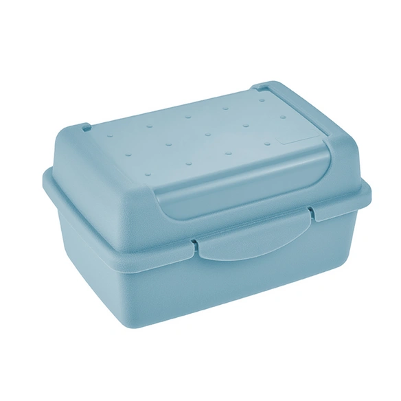 Brotdose »Micro Luca«, 0,35L 11x7,5x6 cm nordic blue