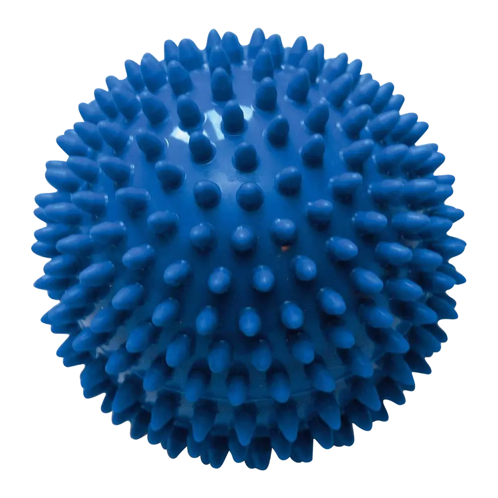 Spikeball Arnold