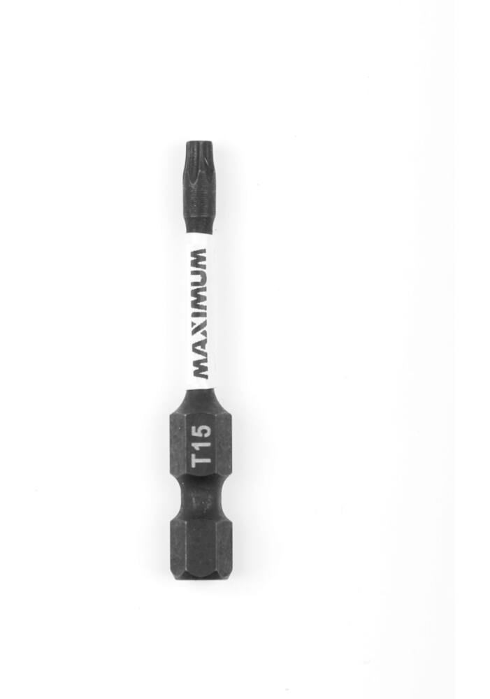 MAXIMUM TORX Screwdriver Bit, 2-in