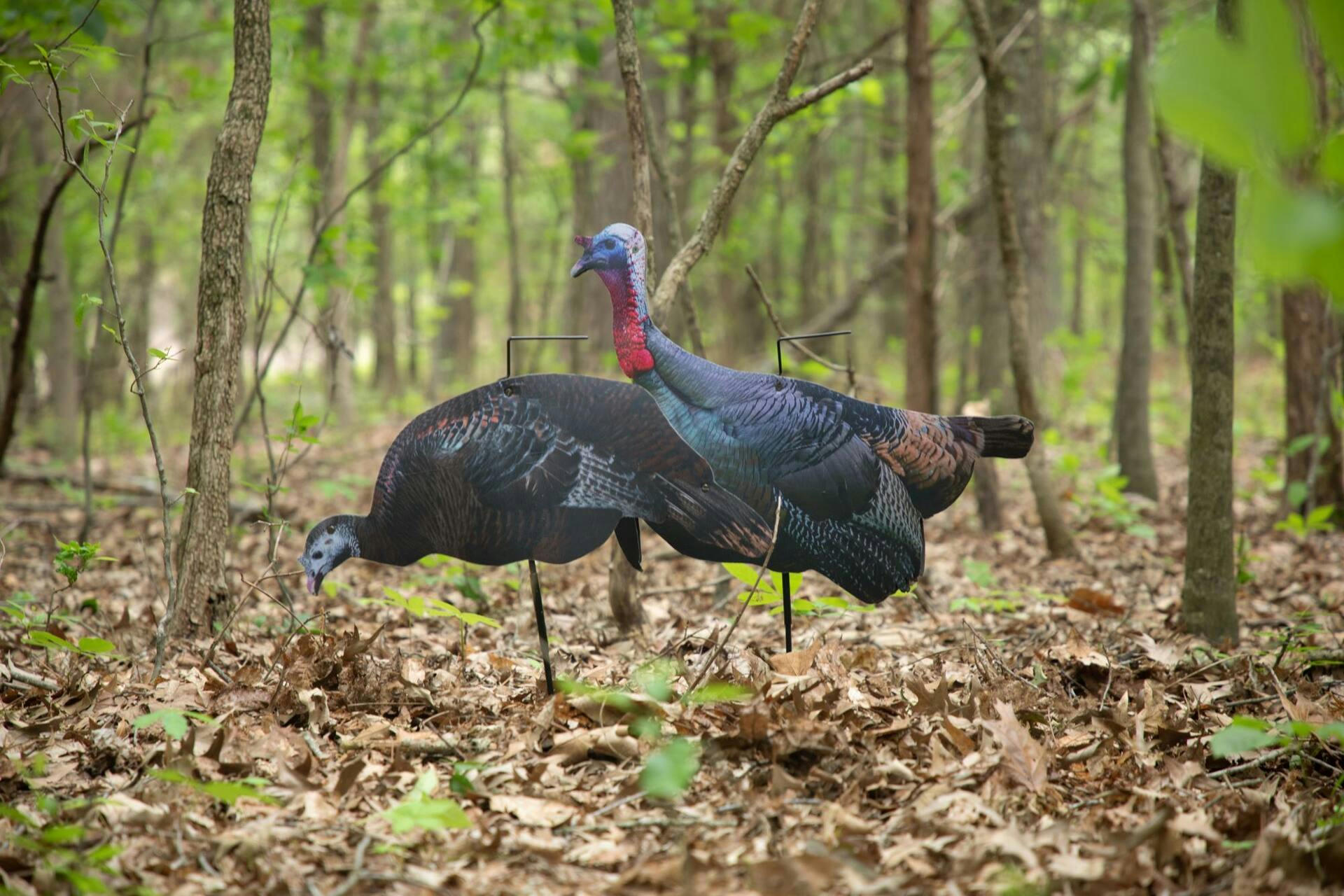 Higdon Outdoors FLEX Turkey Combo Silhouette, Tom/Hen