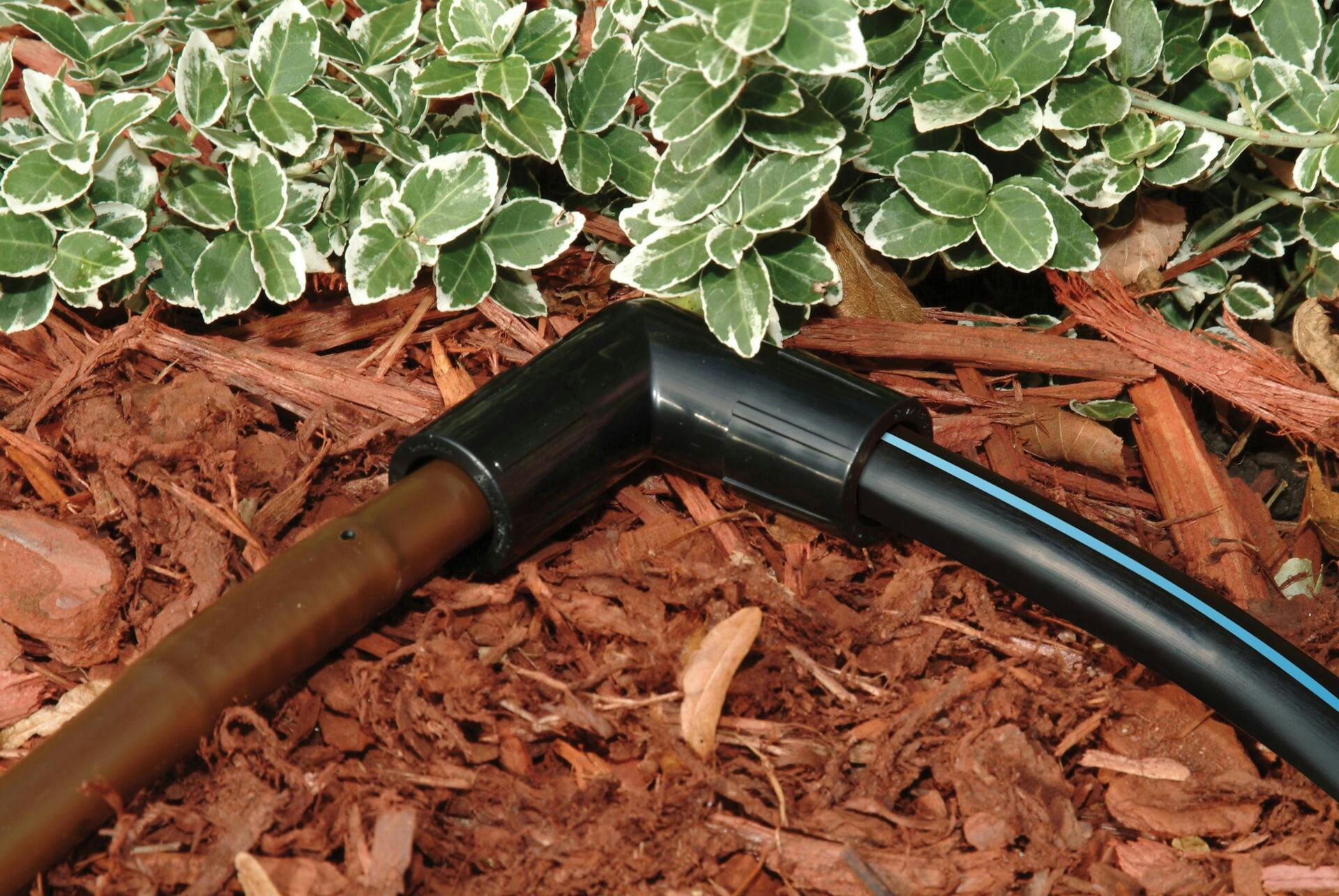 Rain Bird EFE25-1PS Drip Irrigation Easy Fit Universal Elbow, 1/2-in