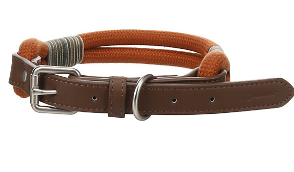 Chien Collier Athos Cognac design et moderne