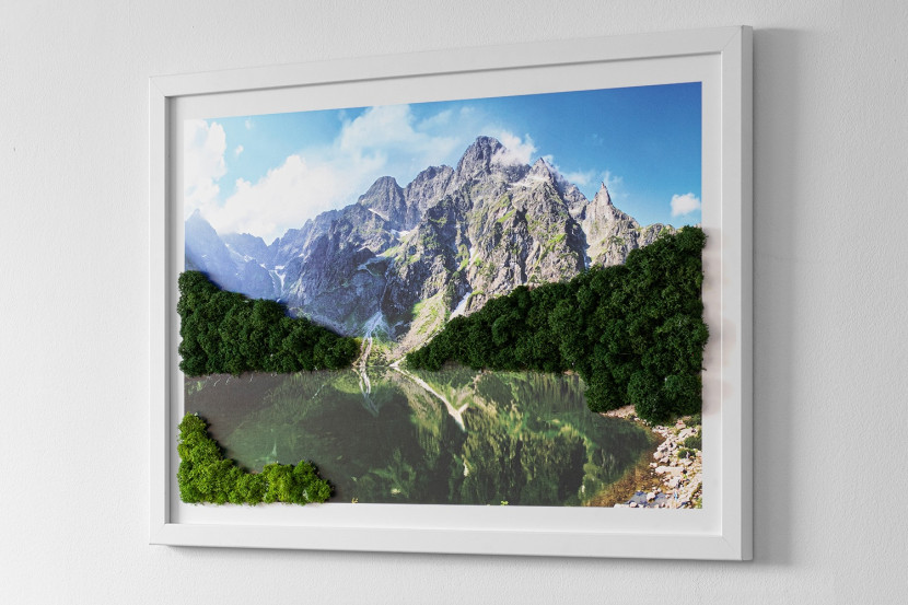 Obraz z mchem - Tatry - Morskie oko 60x40 cm Biała Rama
