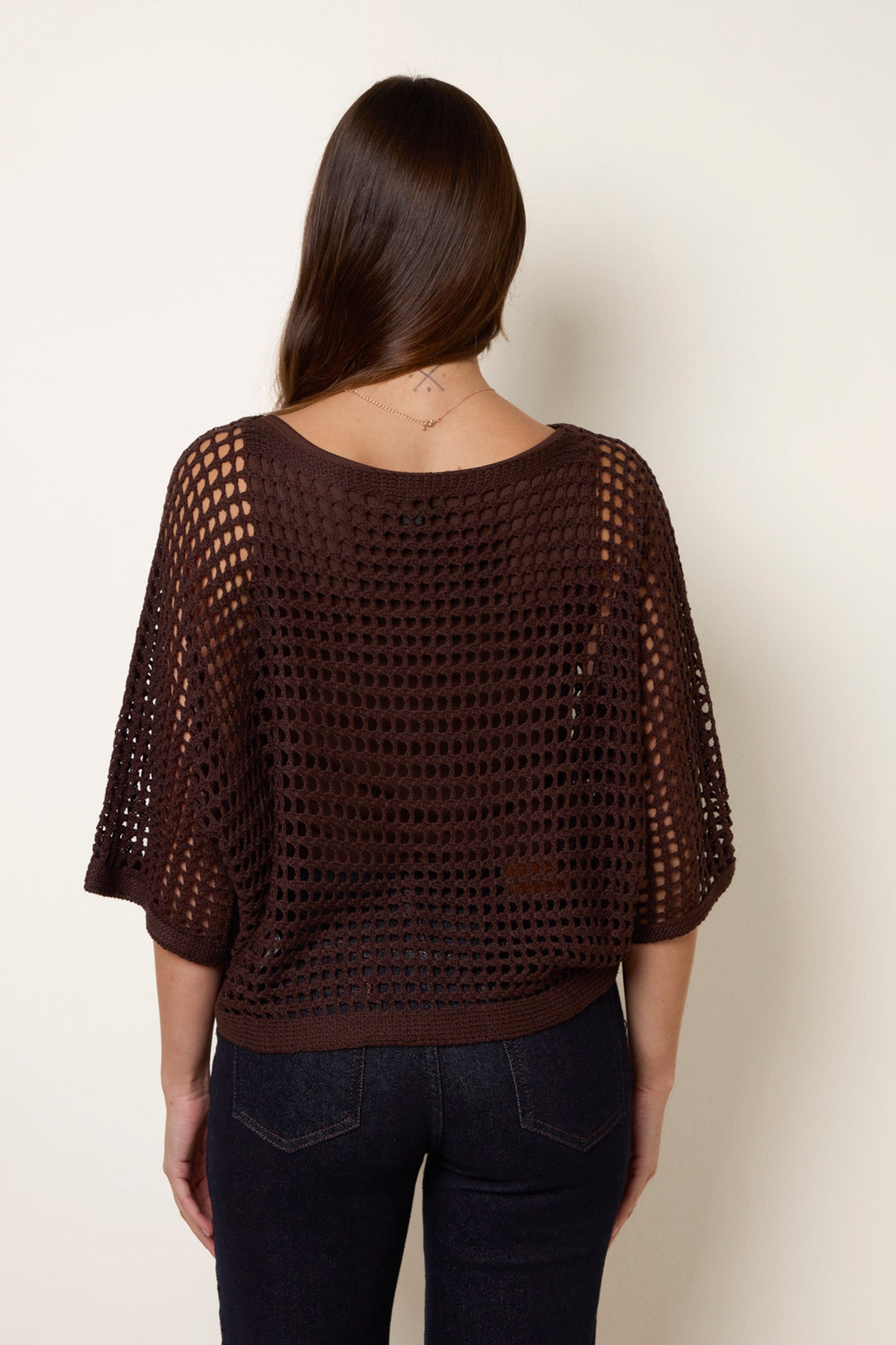 Blue Vanilla Brown Round Neck Net Top