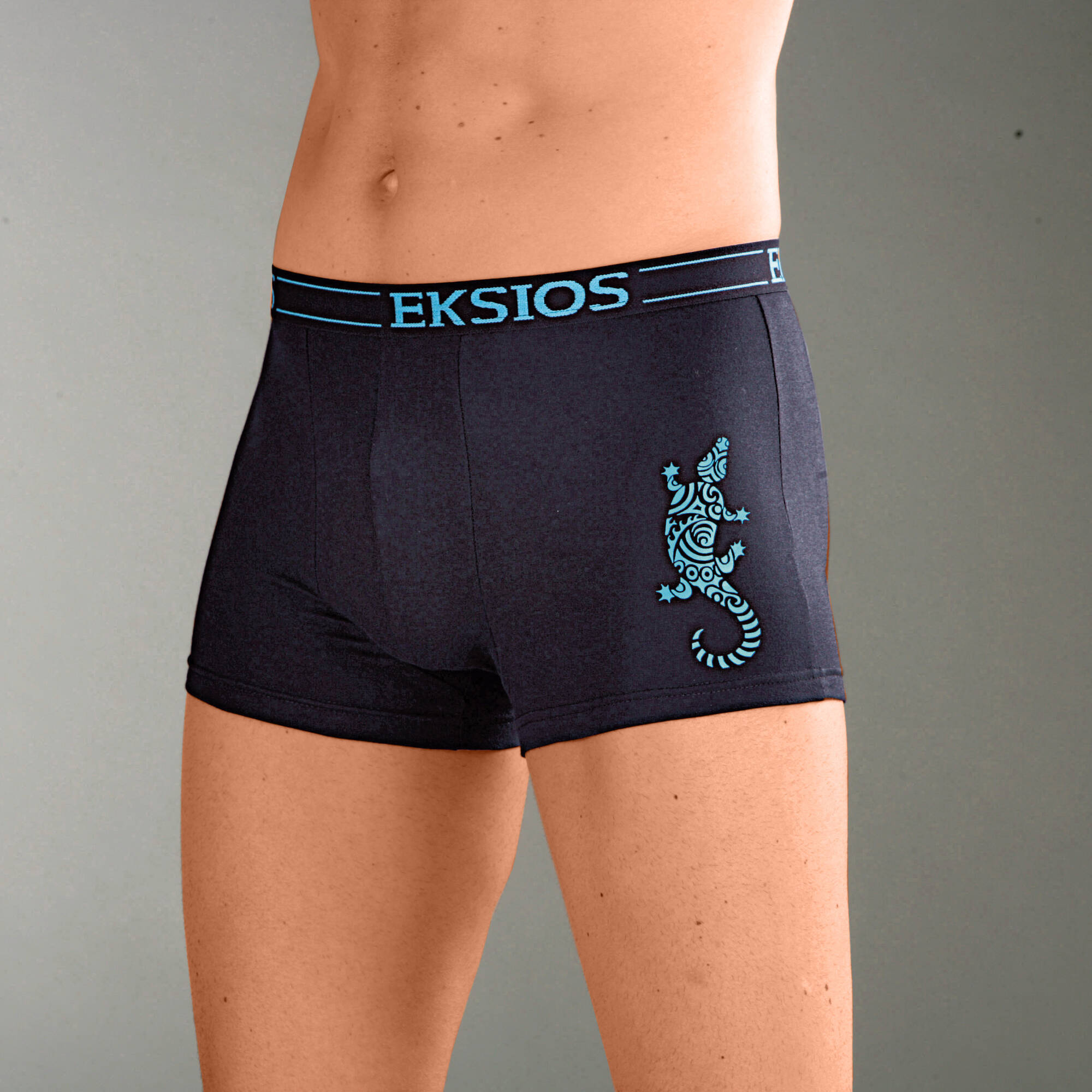 Boxer fermé élastiqué motif "salamandre" - lot de 4