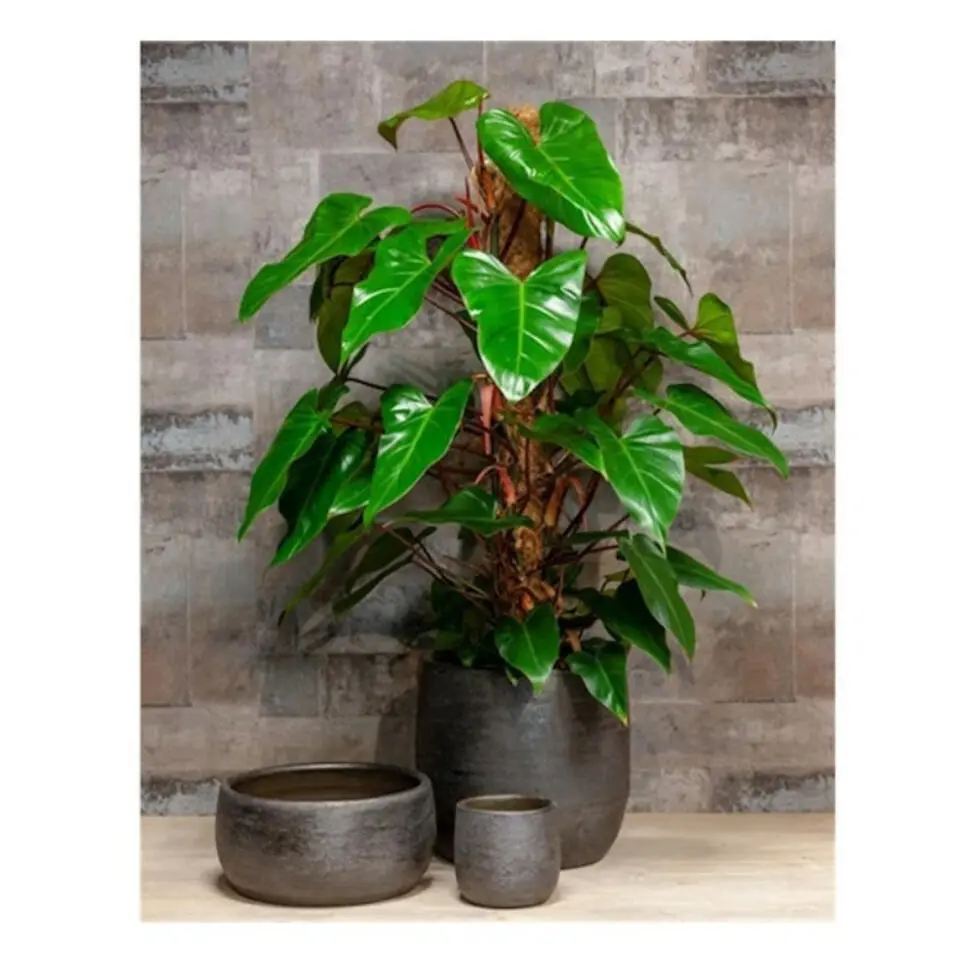 Floran Plantenpot Mira - keramiek - zwart - 18 x 16 cm