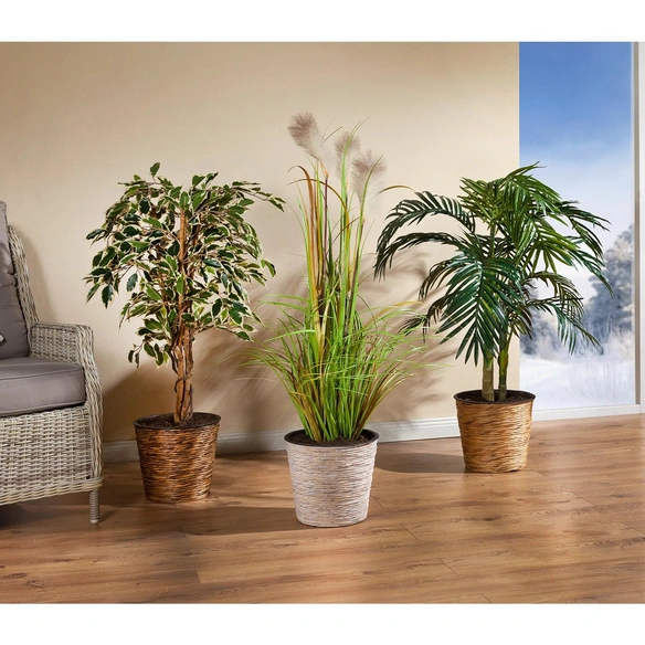 Kunstpflanze, Ficus Hawaii, weiss/grün