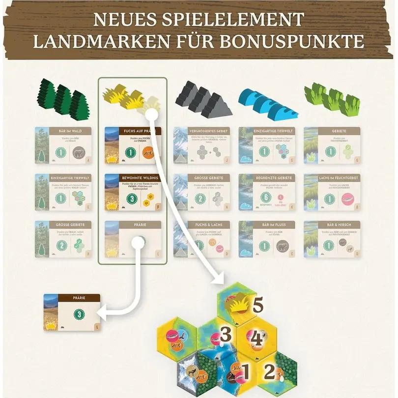 Brettspiel Cascadia