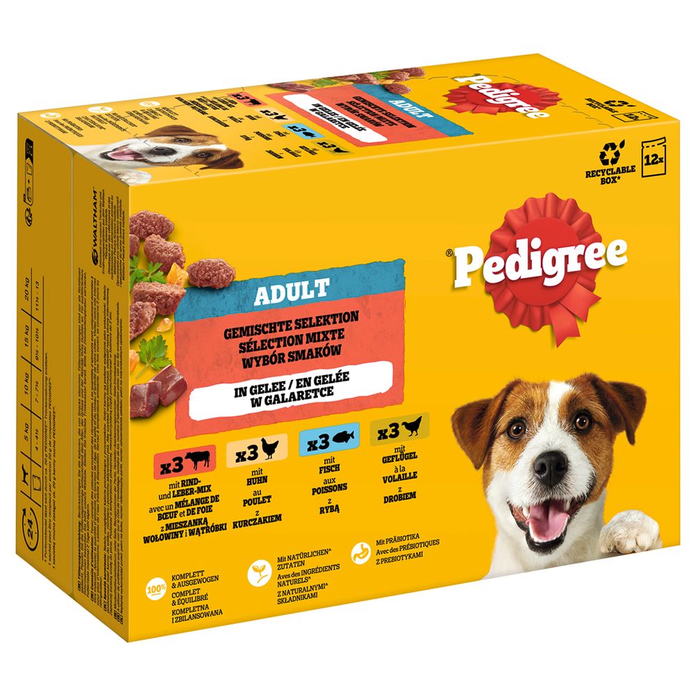 Pedigree Adult Pouch in Jelly Multipack