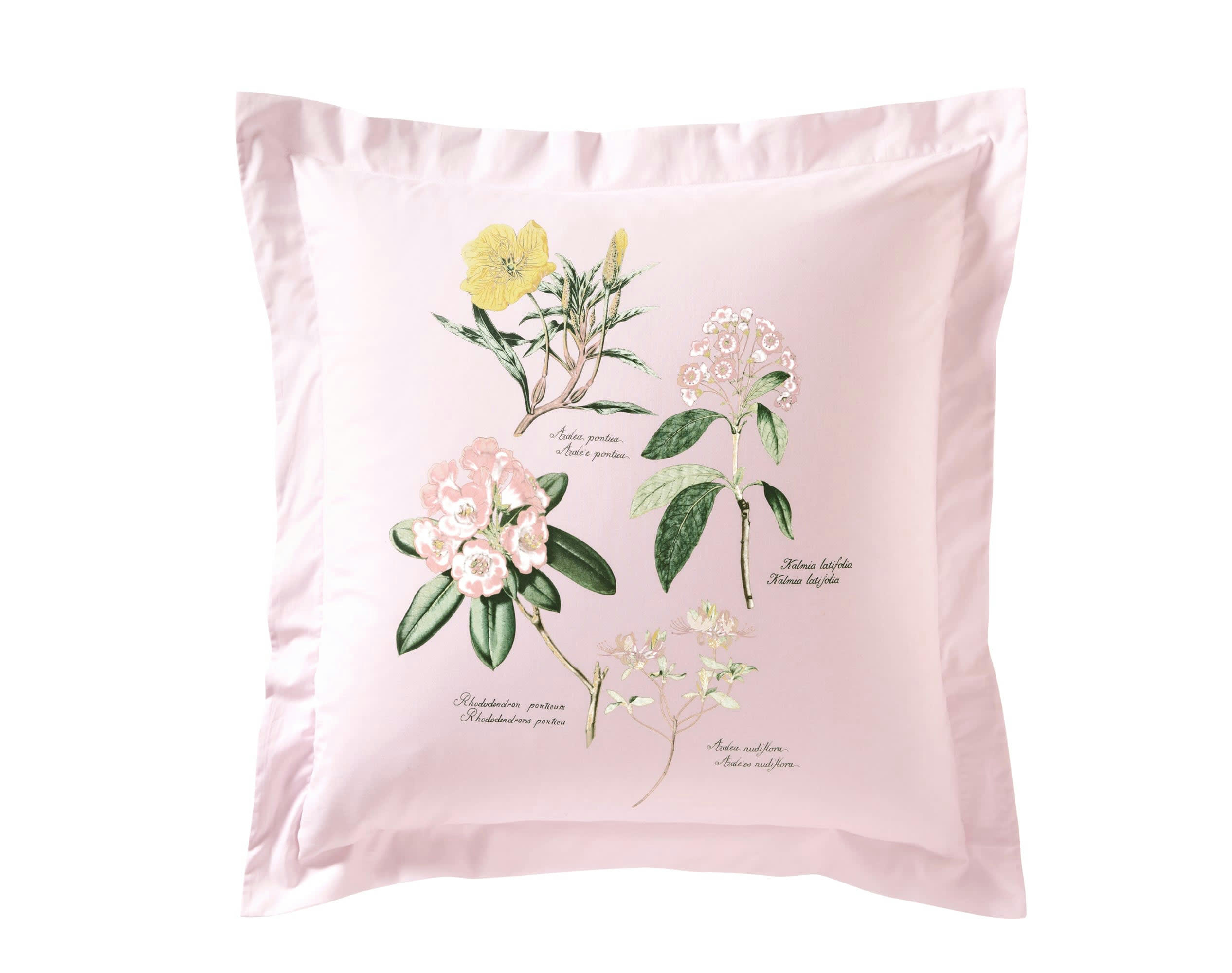 AZALEE - Taie d'oreiller 65x65 blanc en coton