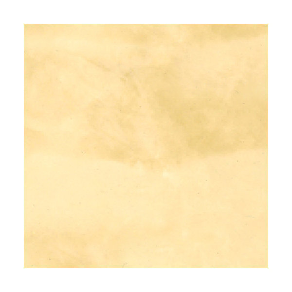 Mortier   teinte - stucco (sans primaire ni finition) - STUCCOLIS Mortier   teinte Jaune Sable - 7 m² - ARCANE INDUSTRIES