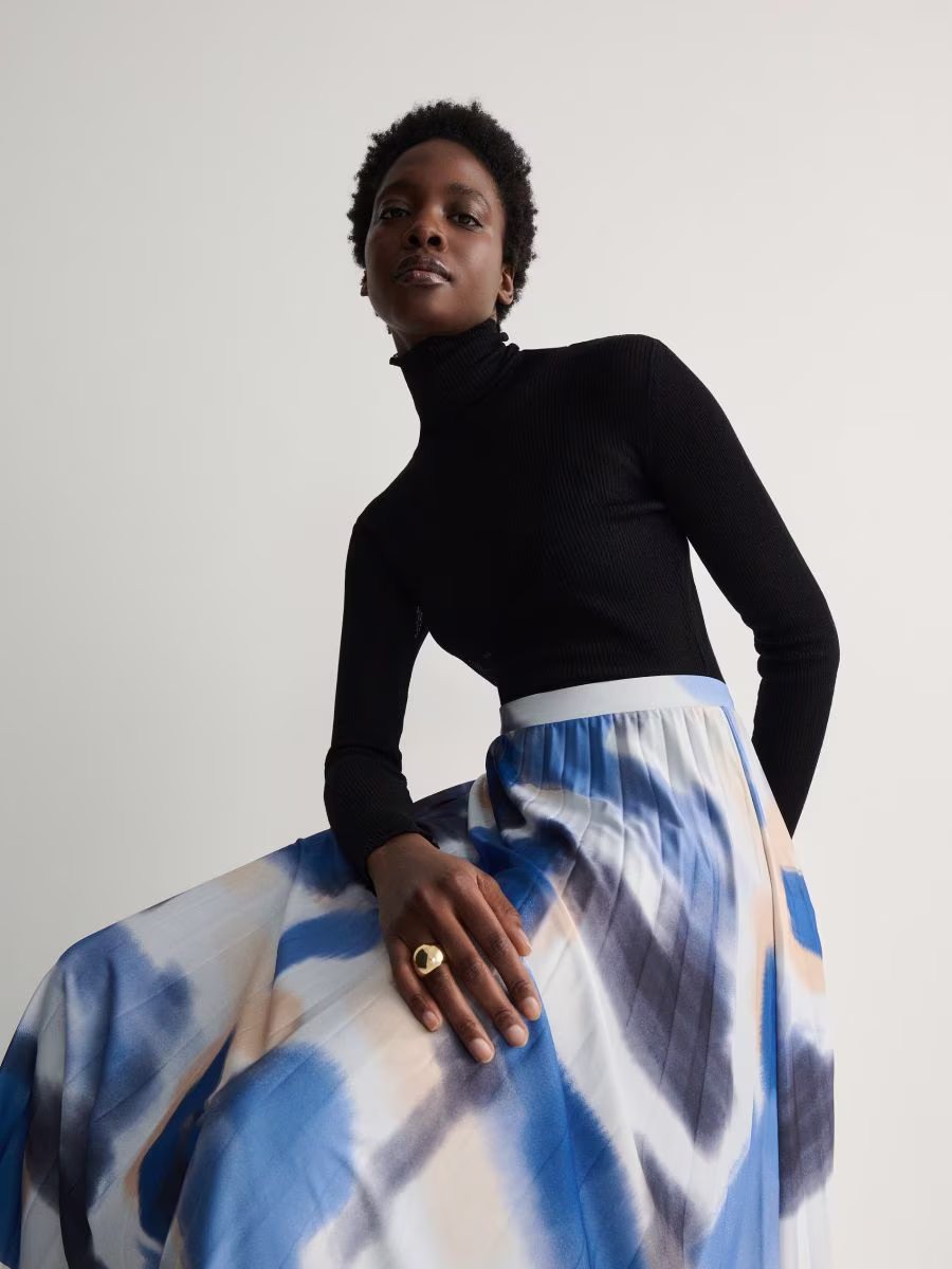 Pleated Skirt