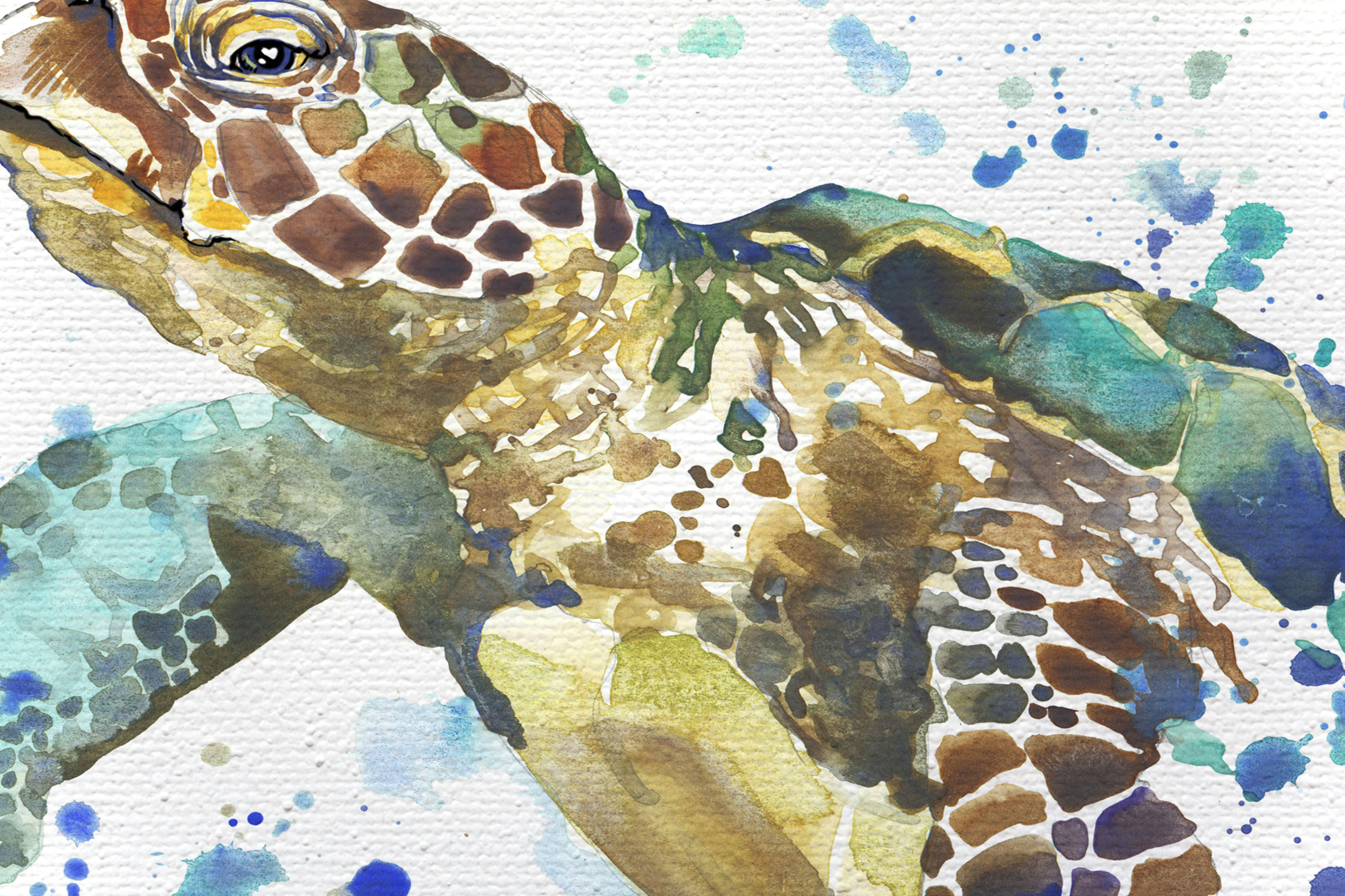 TURTLE - Peinture sur toile 60x40 imprimé HD tortue