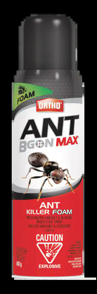 Ortho® Ant B Gon® Max Indoor/Outdoor Ant Hill/Nest Killer Foam Aerosol Spray, 400-g