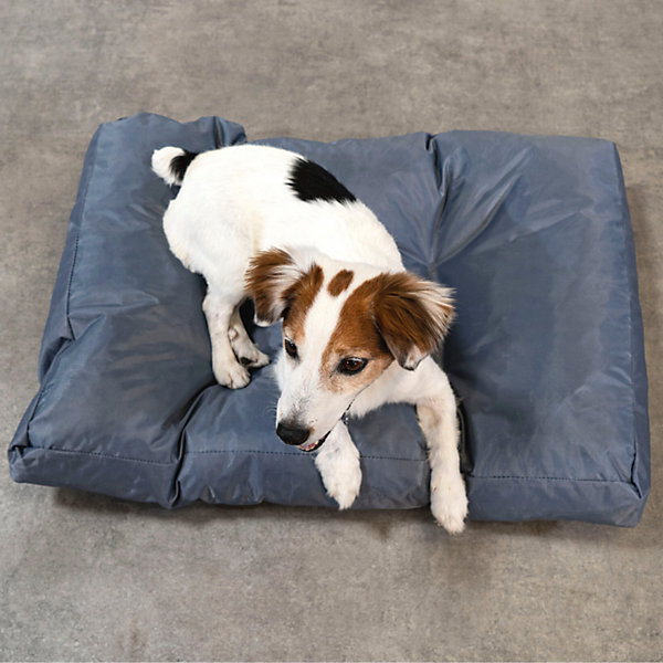 Panier chien déhoussable en polyester 75x50x10 cm BANANAIR gris