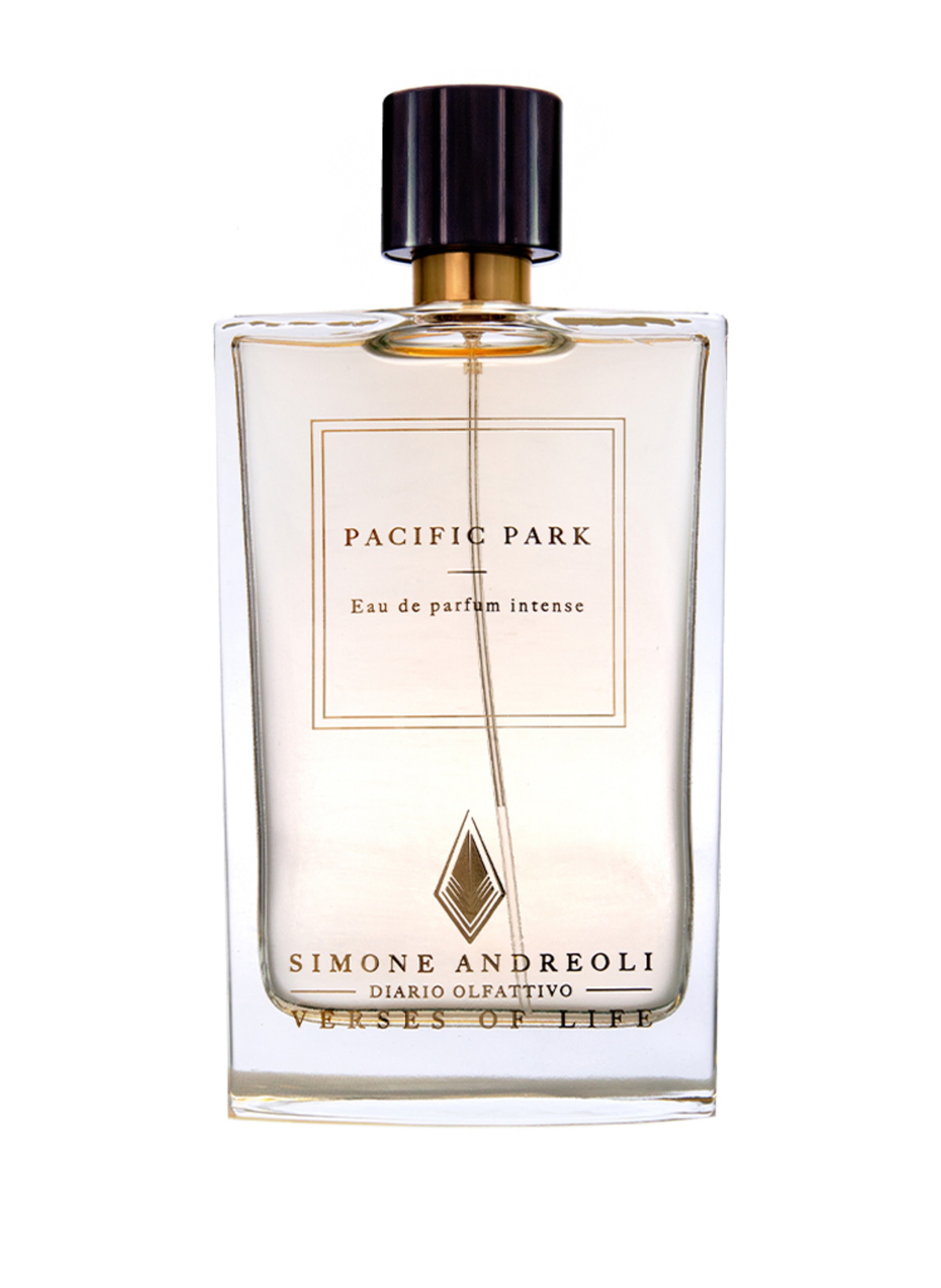 SIMONE ANDREOLI PACIFIC PARK