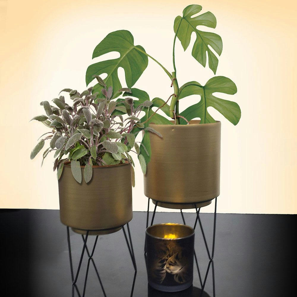 - Pots de fleur pied filaire - Lot de 2