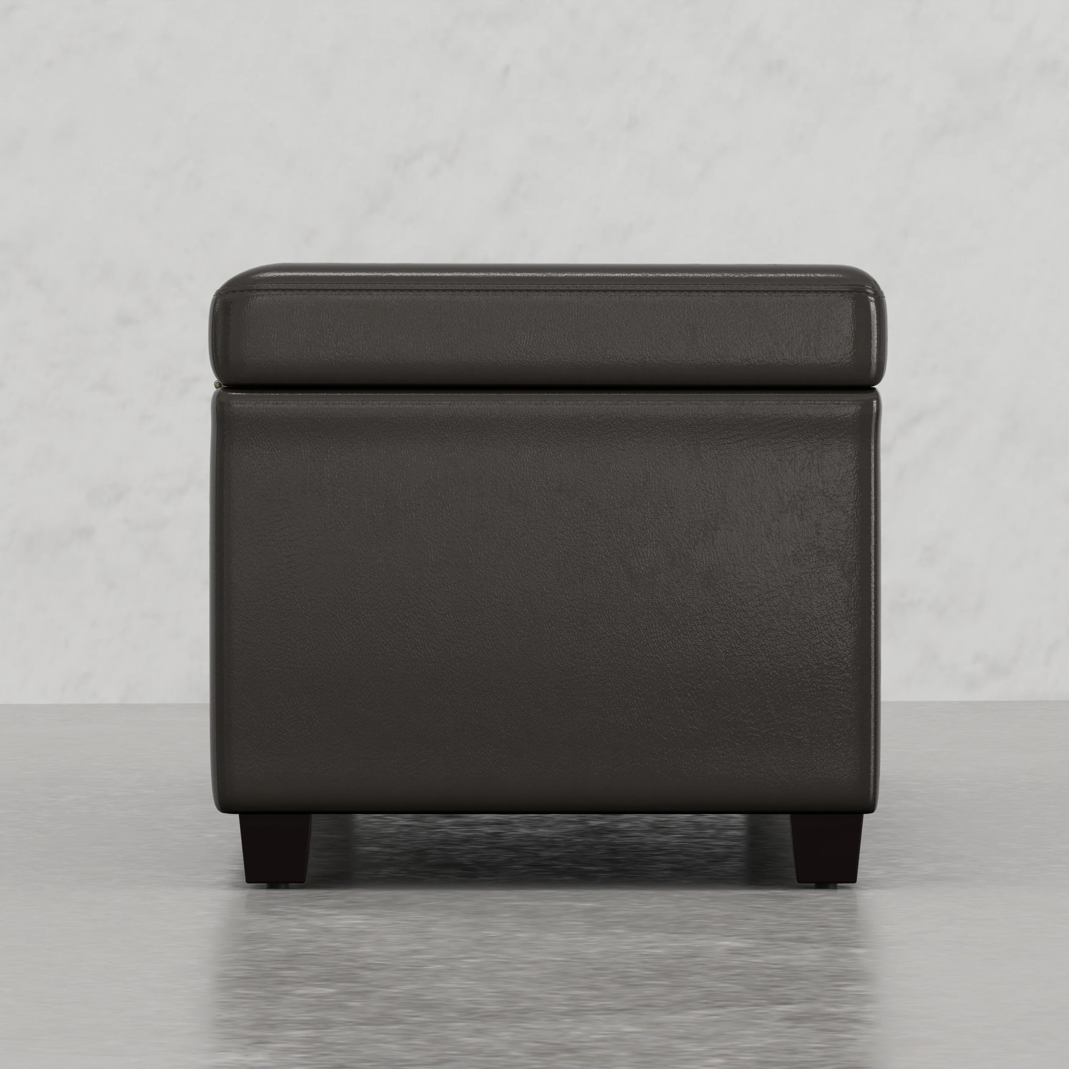 Extra Large Storage Ottoman Bench