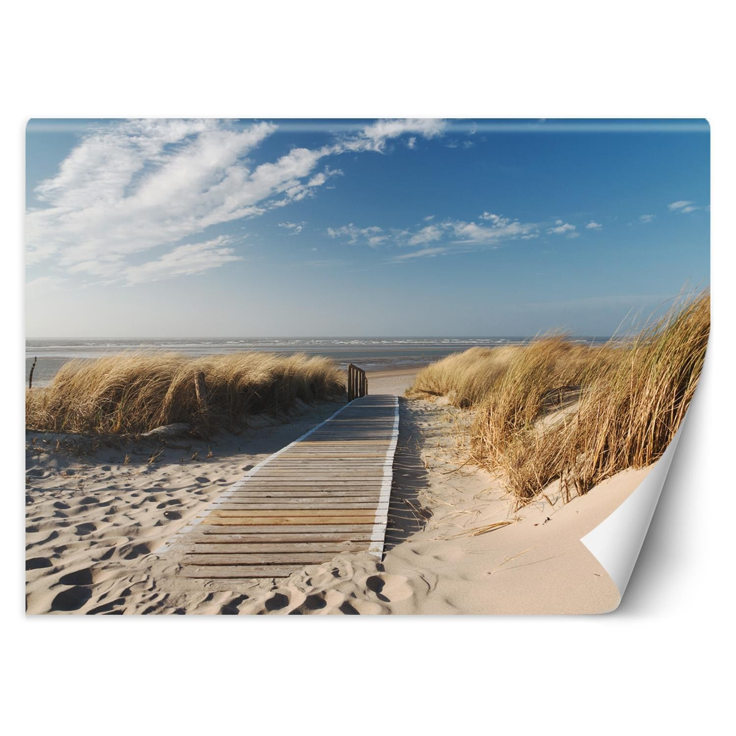 Feeby Fototapeta, Plaża morze wydmy 254x184