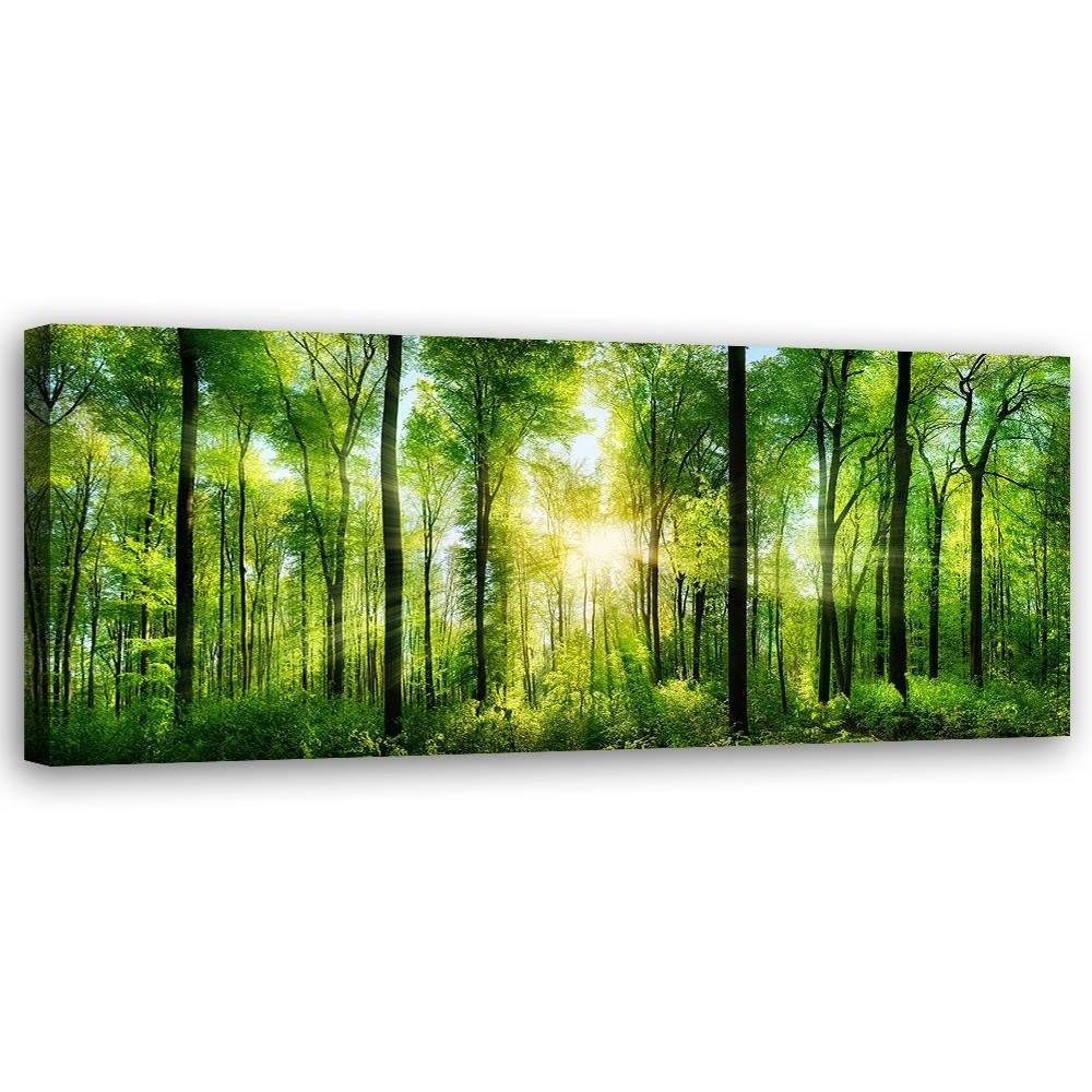 Feeby Obraz Promienie słońca w lesie natura zielony 90x30