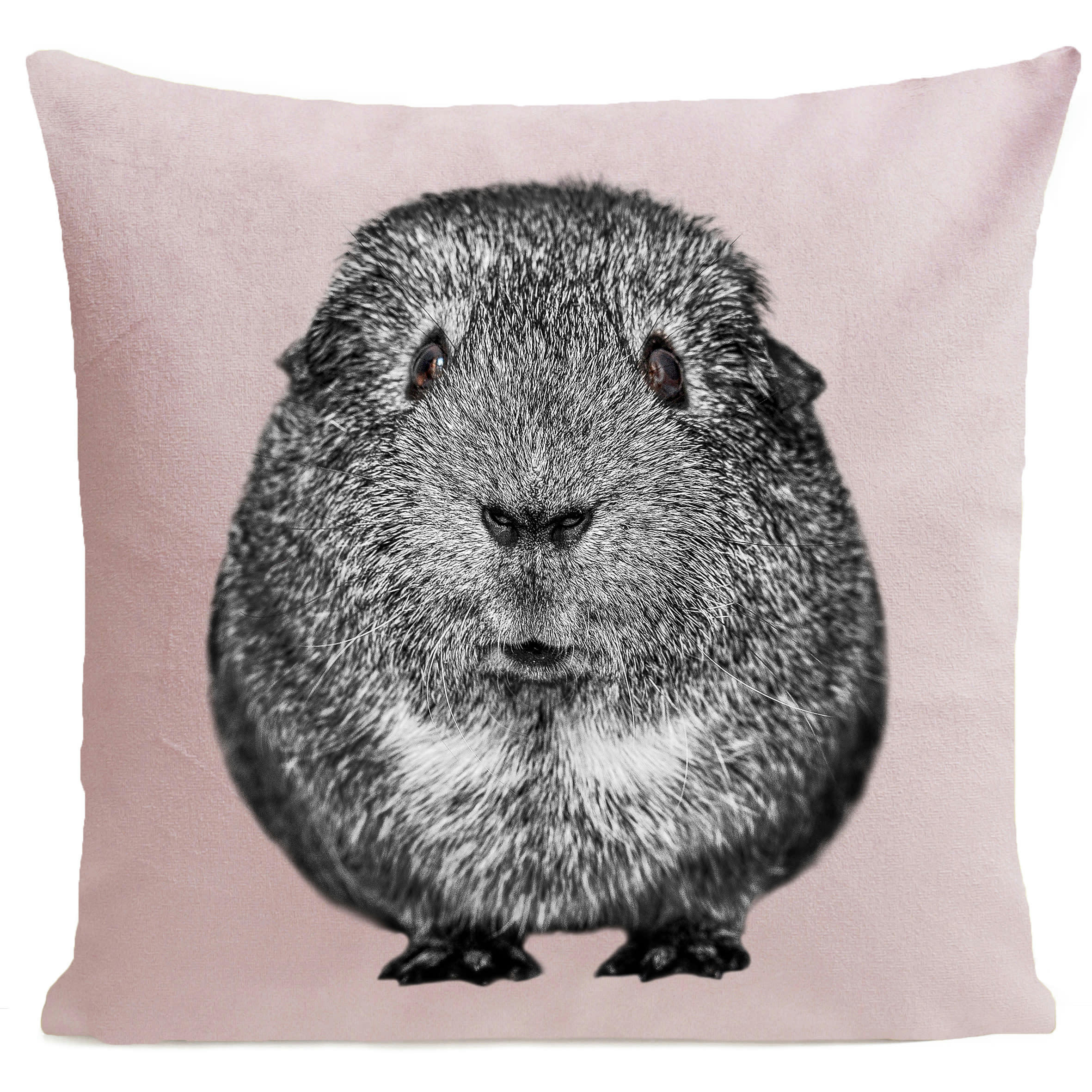 - Coussin enfant cochon d'inde rose 40x40cm