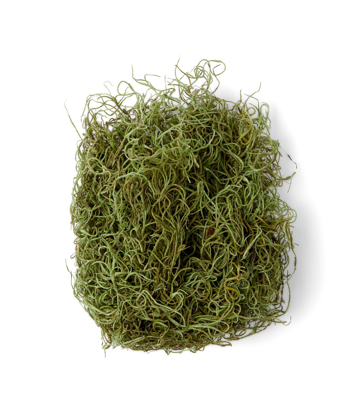 Quality Growers 125 Green Spanish Moss