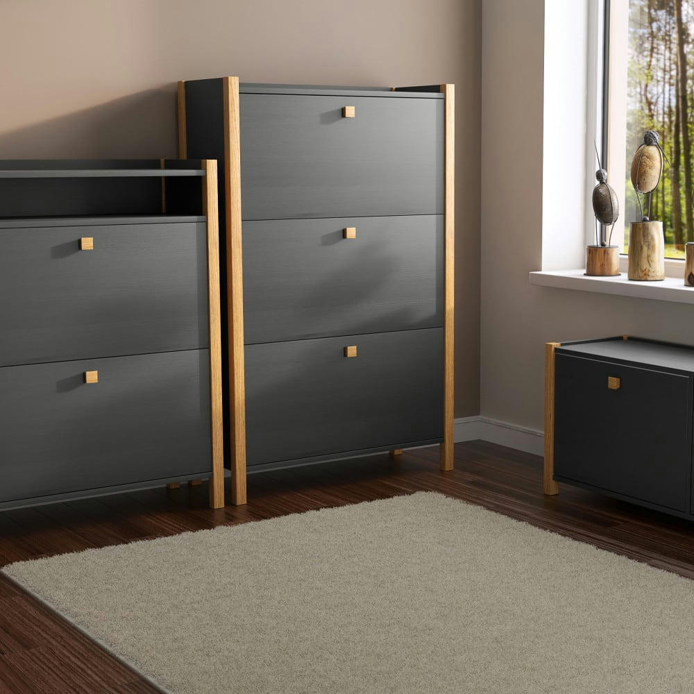 HANNOVER - Meuble à chaussures en bois 2 portes gris foncé