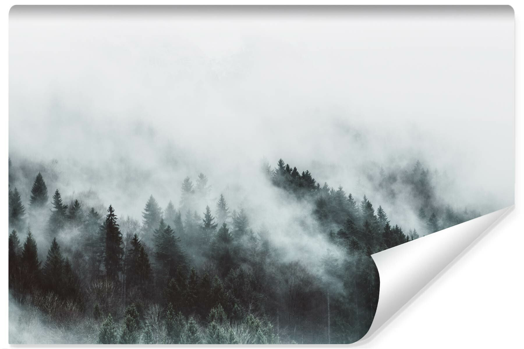 Fototapeta Do Salonu Las We Mgle Efekt 3D 90x60cm