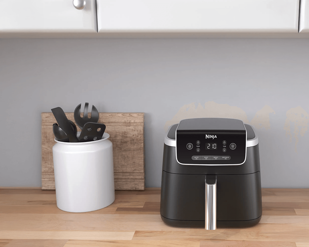 Ninja Air Fryer 4.7L Pro