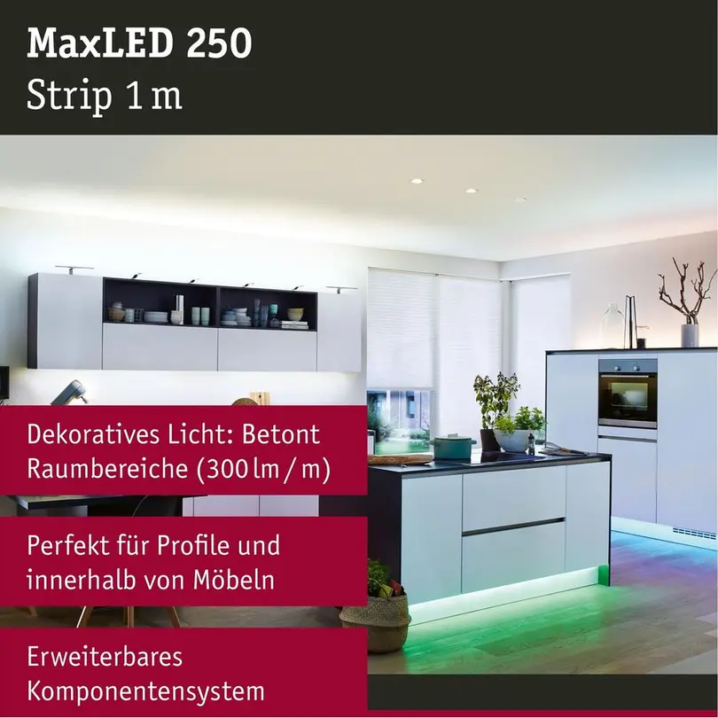 Lichtstreifen Paulmann