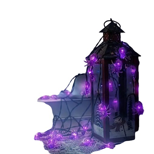 NNETM Solar-Powered Spider String Lights for Spooktacular Nights