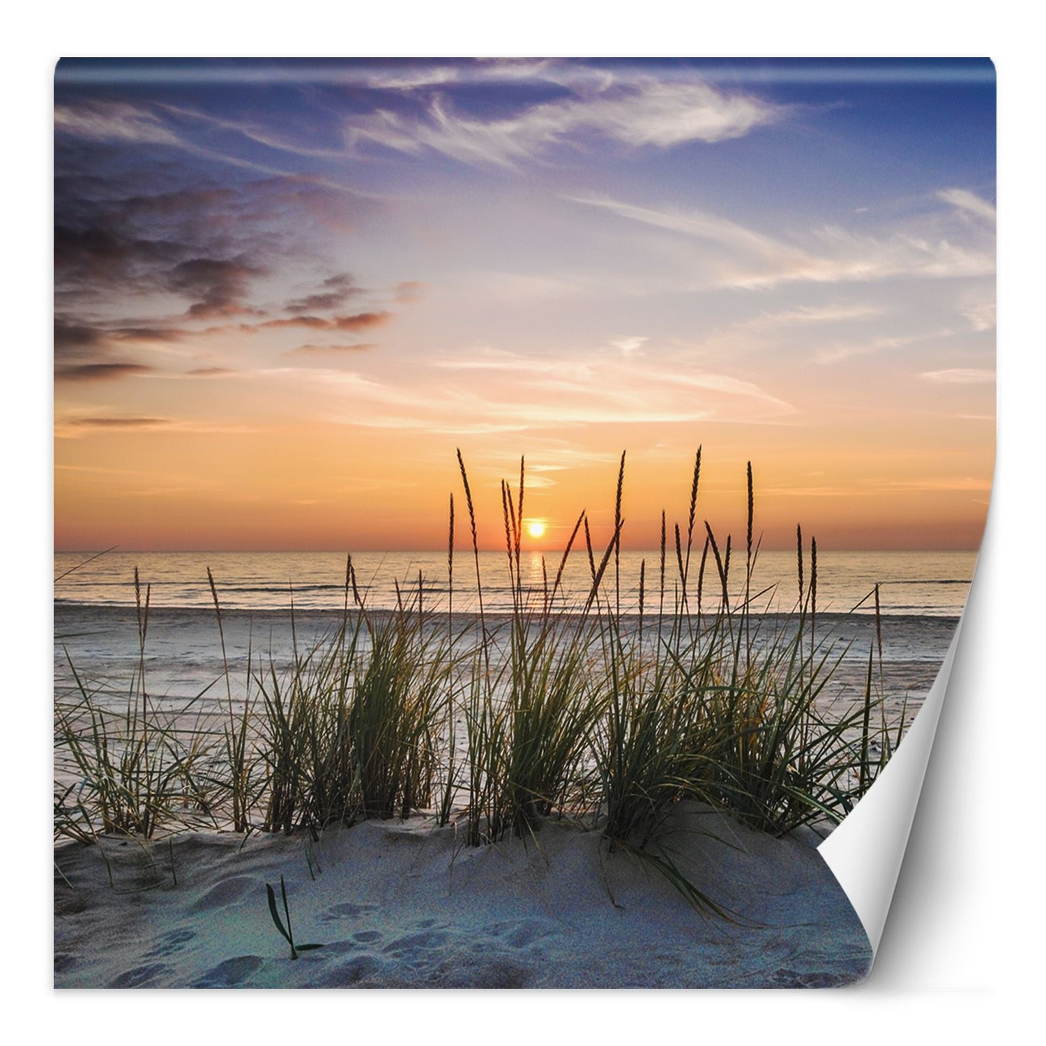 Feeby Fototapeta, Plaża morze zachód słońca 100x100