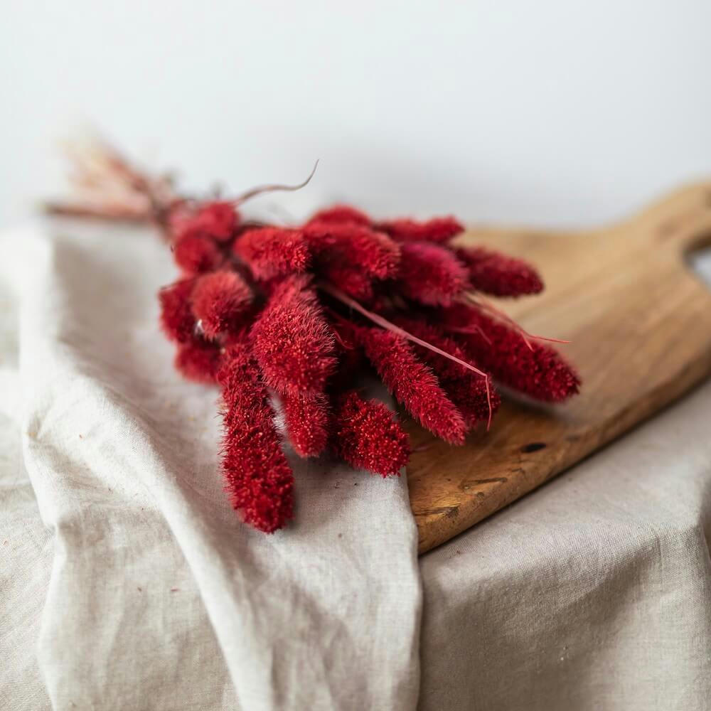 - Botte sétaire rouge