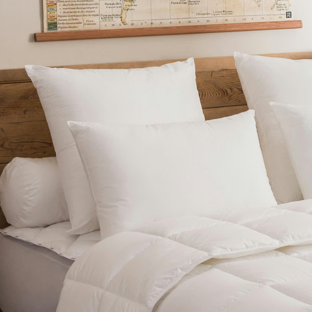 - Oreiller Visco Confort - MEDIUM 65x65 cm - DODO