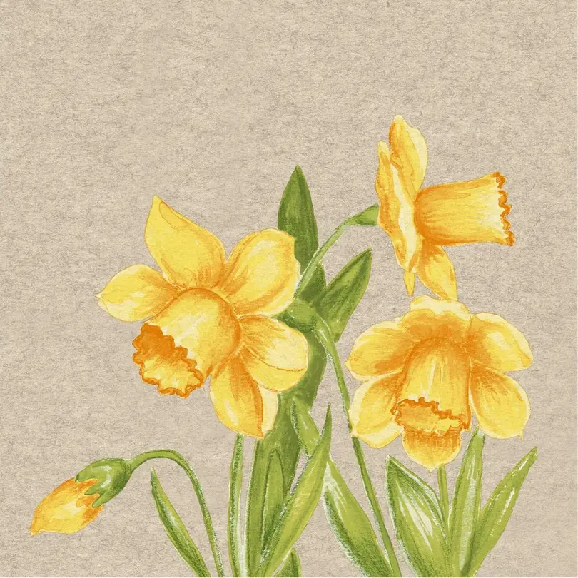 Serviette 25er-Set Daffodil
