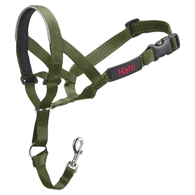Halti Dog Headcollar - Forest Green