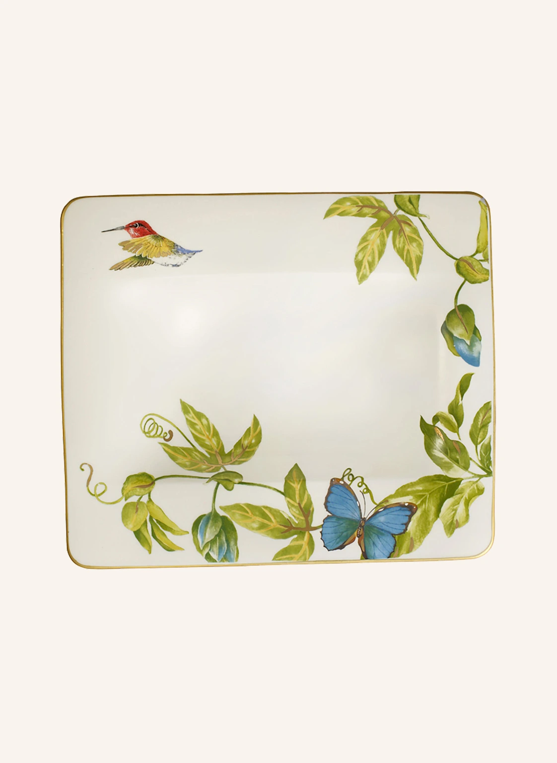 Villeroy & Boch Suppenteller AMAZONIA