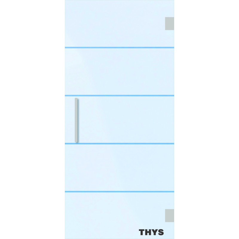 Porte en verre securit poignées et charnières en inox Thytan Everyway 78 x 211 cm 1510 THYS