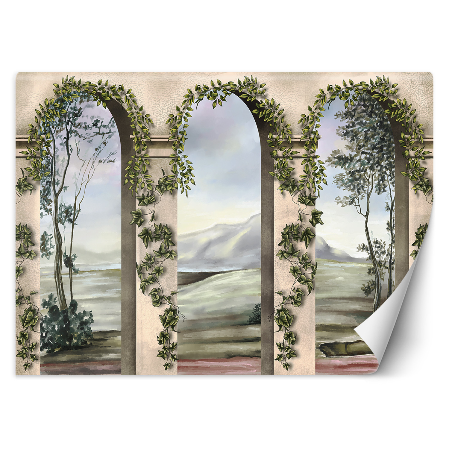 Feeby Fototapeta, Kolumny łuki bluszcz 150x105