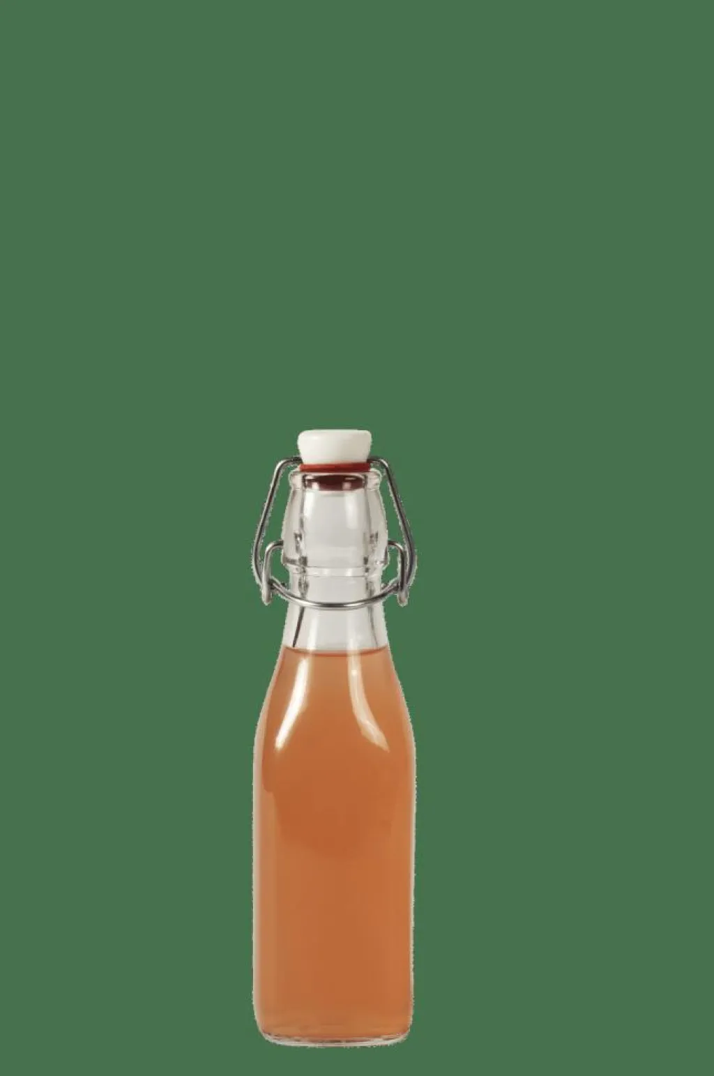 Bocaux|Bouteilles^CASA SWING Bouteille 0,25 L Transparent